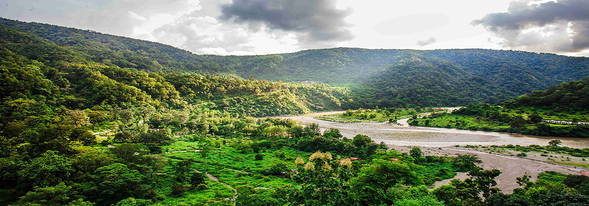 Welcome to Corbett Saalvan Resort Corbett Park